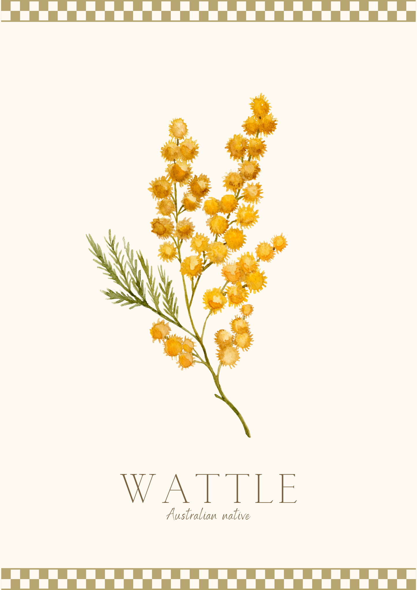 Wattle Australian Flower Poster